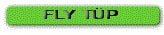fly t�p